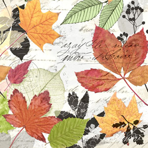 Tissue-Serviette 24 x 24 cm Herbarium 3-lagig, 240 Stk/Krt (12 x 20 Stk)