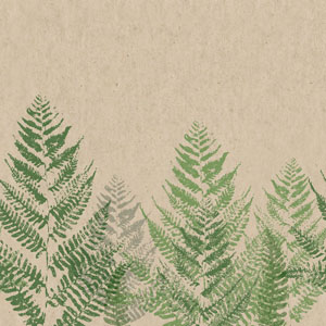 Recycled Tissue Napkin 33 x 33 cm Farn 2-ply, 300 pcs/box (12 x 25 pcs)