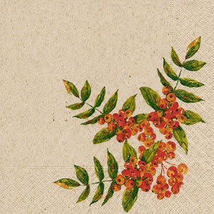 Recycling-Tissue Serviette 33 x 33 cm Rowan Berry 2-lagig, 300 Stk/Krt (12 x 25 Stk)