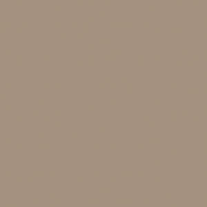 Individualisierbar - Dunisoft®-Serviette 20 x 20 cm Greige, 2880 (16 x 180)