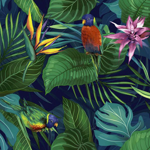 Tissueservett 33 x 33 cm Jungle Paraiso 3-lagers, 240 St/kart (12 x 20 St)
