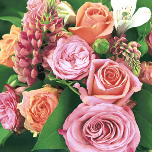 Tissue Napkin 33 x 33 cm Romantic Flowers 3-ply, 240 pcs/box (12 x 20 pcs)