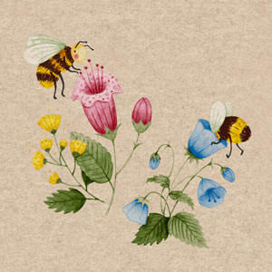 Servett återvunnen Tissue 33 x 33 cm Bee Flowerfull 2-lagers, 300 St/kart (12 x 25 St)