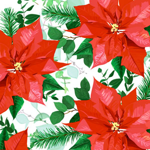 Tissue-Serviette 24 x 24 cm Floral Christmas 3-lagig, 240 Stk/Krt (12 x 20 Stk)
