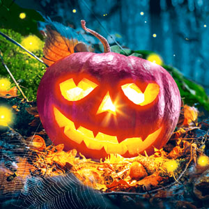 Tissue-Serviette 33 x 33 cm Pumpkin night 3-lagig, 240 Stk/Krt (12 x 20 Stk)