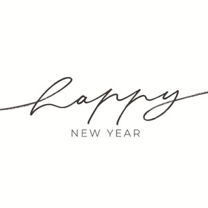 Bio Tissue-Serviette 24 x 24 cm Fresh new year 3-lagig, 240 Stk/Krt (12 x 20 Stk)