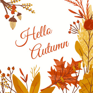 Bio Tissue Napkin 33 x 33 cm Hello Autumn 3-ply, 240 pcs/box (12 x 20 pcs)