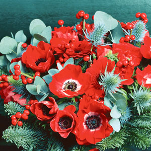 Tissue-Serviette 33 x 33 cm Poppy Anemone 3-lagig, 240 Stk/Krt (12 x 20 Stk)