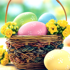 Tissue-Serviette 33 x 33 cm Easter Basket 3-lagig, 240 Stk/Krt (12 x 20 Stk)