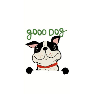 Taschentücher 21,5 x 22 cm Good Dog, 240 Stk/Krt (24 x 10 Stk)