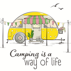 Tissue-Serviette 33 x 33 cm Camp Life 3-lagig, 240 Stk/Krt (12 x 20 Stk)
