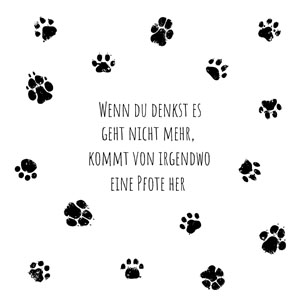 Tissue-Serviette 33 x 33 cm Pfote 3-lagig, 240 Stk/Krt (12 x 20 Stk)