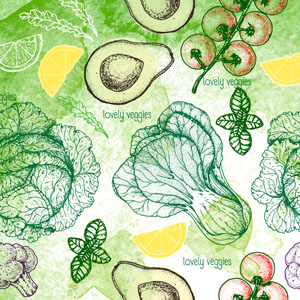 Tissue-Serviette 33 x 33 cm Veggie Mix 3-lagig, 240 Stk/Krt (12 x 20 Stk)