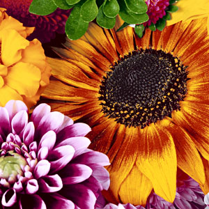 Tissue Napkin 33 x 33 cm Late Summer 3-ply, 240 pcs/box (12 x 20 pcs)
