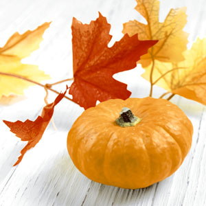 Tissue Napkin 33 x 33 cm Pumpkin Leaf 3-ply, 240 pcs/box (12 x 20 pcs)