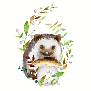 Tissue-Serviette 33 x 33 cm Forest Hedgehog 3-lagig, 240 Stk/Krt (12 x 20 Stk)