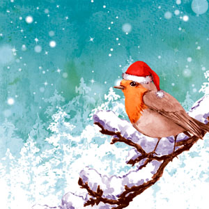 Tissue Napkin 33 x 33 cm Robin Snow 3-ply, 240 pcs/box (12 x 20 pcs)