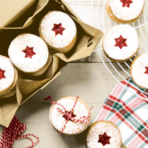 Tissue Napkin 33 x 33 cm Frosty Cookies 3-ply, 240 pcs/box (12 x 20 pcs)
