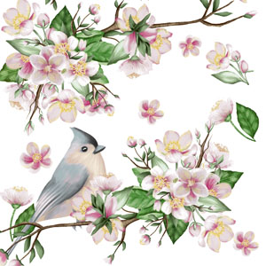 Tissue-Serviette 33 x 33 cm Bird Lyrics 3-lagig, 240 Stk/Krt (12 x 20 Stk)