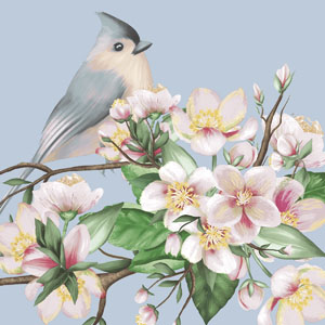 Tissue Napkin 24 x 24 cm Bird Lyrics 3-ply, 240 pcs/box (12 x 20 pcs)