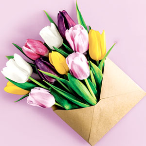 Tissue-Serviette 33 x 33 cm Garden greetings 3-lagig, 240 Stk/Krt (12 x 20 Stk)
