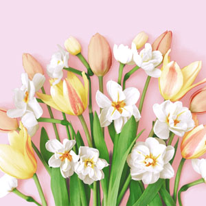 Tissue-Serviette 33 x 33 cm Tulip joy 3-lagig, 240 Stk/Krt (12 x 20 Stk)
