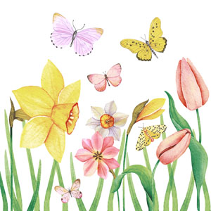 Tissue Napkin 24 x 24 cm Butterfly meadow 3-ply, 240 pcs/box (12 x 20 pcs)