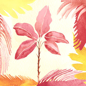 Tissue-Serviette 24 x 24 cm Nomad Tropic 3-lagig, 240 Stk/Krt (12 x 20 Stk)