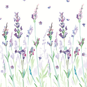 Serviette ouate 33 x 33 cm Lavendream 3 plis, 240 pc/carton (12 x 20 pc)