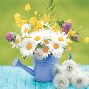 Tissue-Serviette 33 x 33 cm Garden beauty 3-lagig, 240 Stk/Krt (12 x 20 Stk)