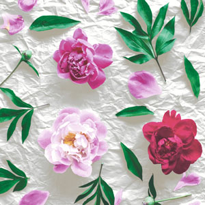 Tissue-Serviette 24 x 24 cm Blossom 3-lagig, 240 Stk/Krt (12 x 20 Stk)