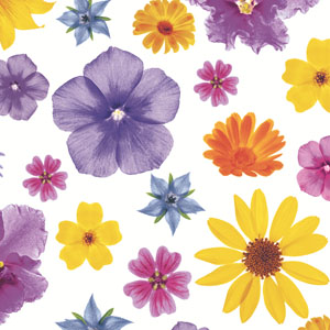 Tissue Napkin 33 x 33 cm Flower flair 3-ply, 240 pcs/box (12 x 20 pcs)