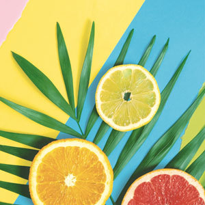 Tissue Napkin 33 x 33 cm Fresh summer 3-ply, 240 pcs/box (12 x 20 pcs)