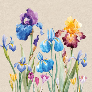 Recycling-Tissue Serviette 24 x 24 cm Iris 2-lagig, 240 Stk/Krt (12 x 20 Stk)