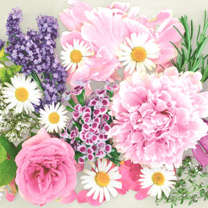 Tissue-Serviette 33 x 33 cm Blossom bliss 3-lagig, 240 Stk/Krt (12 x 20 Stk)