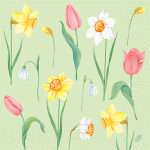 Tissueservett 40 x 40 cm Spring Melody 3-lagers, 1250 St/kart (5 x 250 St)