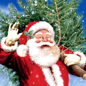 Tissue-Serviette 24 x 24 cm Here Comes the Tree 3-lagig, 240 Stk/Krt (12 x 20 Stk)