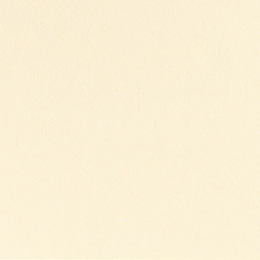 Dunicel® Slipcover 84 x 84 cm Cream, 10 pcs/box (10 x 1 pcs)
