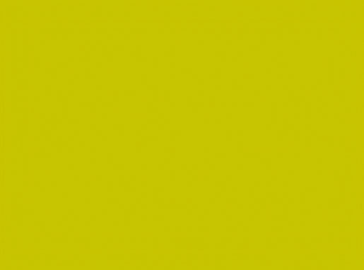 Paper Placemat 35 x 45 cm Kiwi, 1000 pcs/box (4 x 250 pcs)