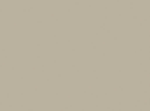 Set de table papier 35 x 45 cm Grège, 1000 pc/carton (4 x 250 pc)