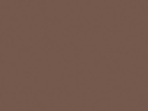 Set de table papier 35 x 45 cm Noisette, 1000 pc/carton (4 x 250 pc)