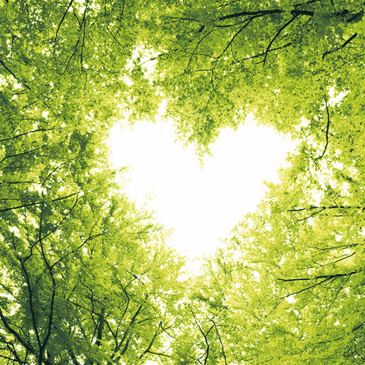 Tissue Napkin 24 x 24 cm Nature Love 3-ply, 240 pcs/box (12 x 20 pcs)