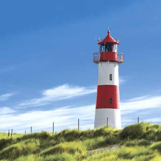 Tissue Napkin 33 x 33 cm Lighthouse 3-ply, 240 pcs/box (12 x 20 pcs)