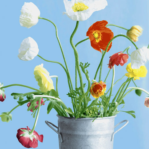 Tissue Napkin 33 x 33 cm Poppies 3-ply, 240 pcs/box (12 x 20 pcs)