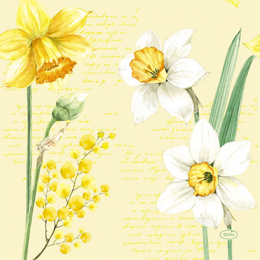 Tissue-Serviette 33 x 33 cm Spring Daffodil 3-lagig, 240 Stk/Krt (12 x 20 Stk)