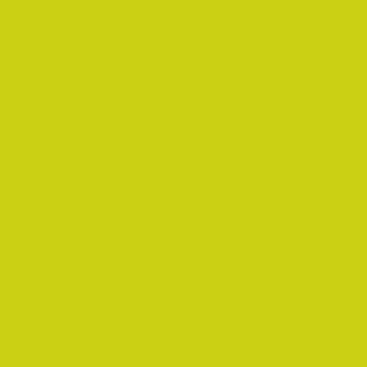 Bio Dunisoft® Napkin 40 x 40 cm Kiwi, 360 pcs/box (6 x 60 pcs)