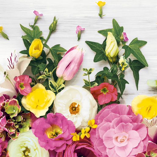 Tissue Napkin 33 x 33 cm Florals 3-ply, 240 pcs/box (12 x 20 pcs)