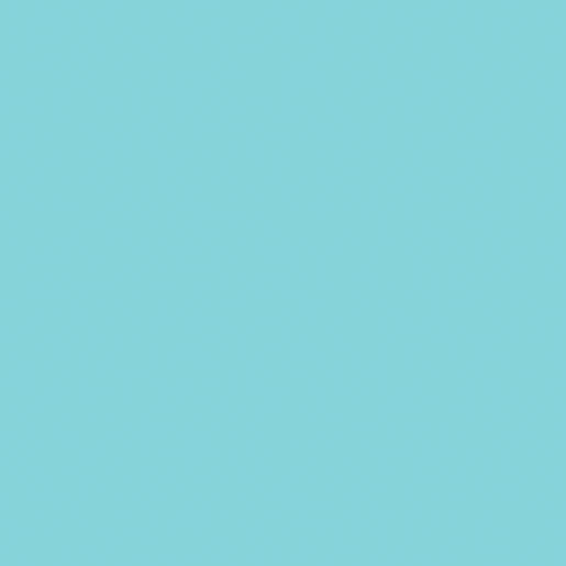 Bio Dunisoft® Serviette 40 x 40 cm Mint Blue, 144 Stk/Krt (12 x 12 Stk)