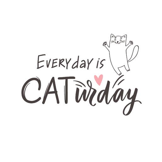 Tissue-Serviette 33 x 33 cm Caturday 3-lagig, 240 Stk/Krt (12 x 20 Stk)