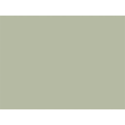 Papieren placemat 30 x 40 cm Pistache Groen, 1000 St/Doos (4 x 250 St)